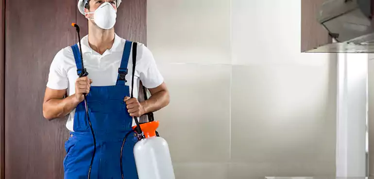 Why St. Petersburg Homeowners Choose Us When Pests Make Selling Difficult